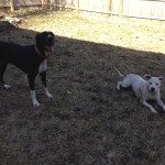 Jada and her foster sister take a break during playtime