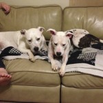 Jada snuggles with her foster brother
